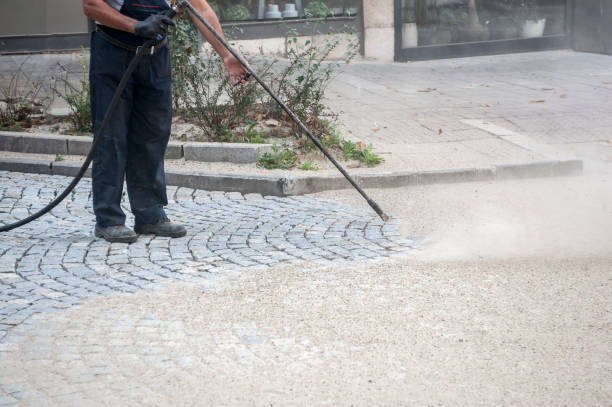 Best Driveway Pressure Washing  in Harmony, PA